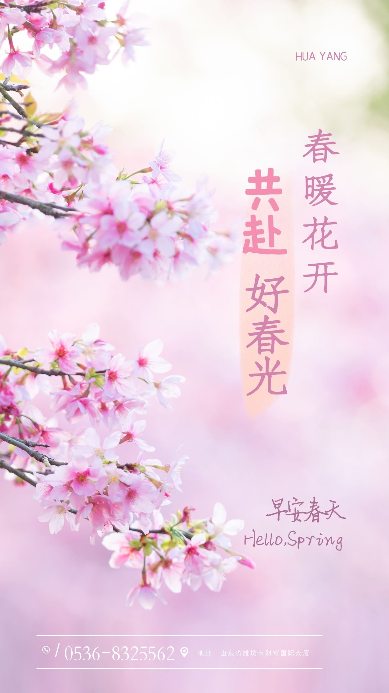 内页左侧广告1